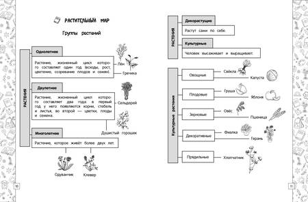 Фотография книги "Горохова: Окружающий мир в схемах, таблицах, рисунках. 1-4 классы. ФГОС"