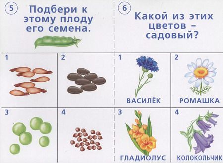 Фотография книги "Готов ли ты к школе? Окружающий мир. Природа. 5-7 лет. Тестовые задания для проверки знаний детей"