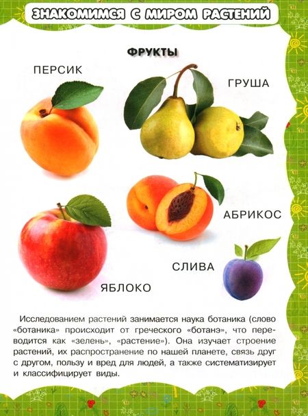 Фотография книги "И. Резько: В саду и огороде"