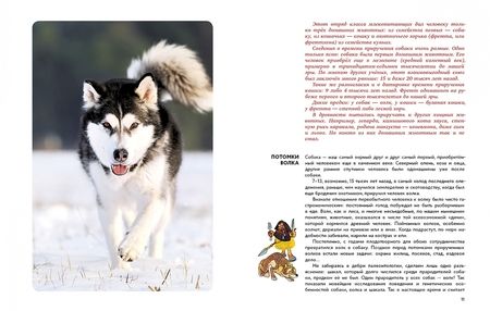 Фотография книги "Игорь Акимушкин: Мир животных. Рассказы о домашних животных"