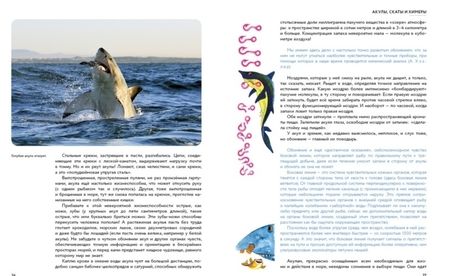 Фотография книги "Игорь Акимушкин: Мир животных. Рассказы о змеях, крокодилах, черепахах, лягушках, рыбах"
