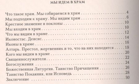 Фотография книги "Игорь Протоиерей: Мы идем в Храм"