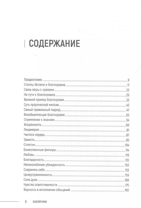 Фотография книги "Ильдар Аляутдинов: Благой нрав. Ценности спасающие душу"