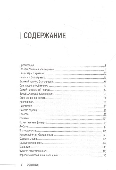 Фотография книги "Ильдар Аляутдинов: Благой нрав. Ценности спасающие душу"