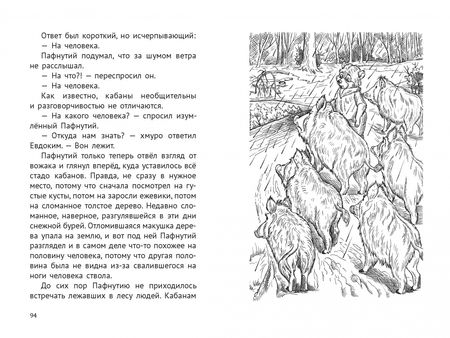 Фотография книги "Иоанна Хмелевская: Пафнутий. Клад в лесу"