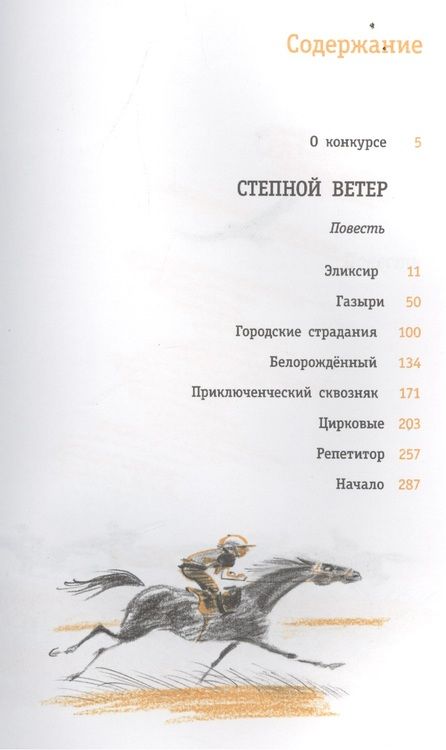 Фотография книги "Ирина Дегтярева: Степной ветер"