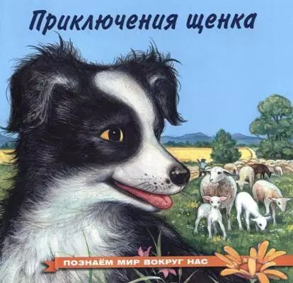 Обложка книги "Ирина Гурина: Приключения щенка"