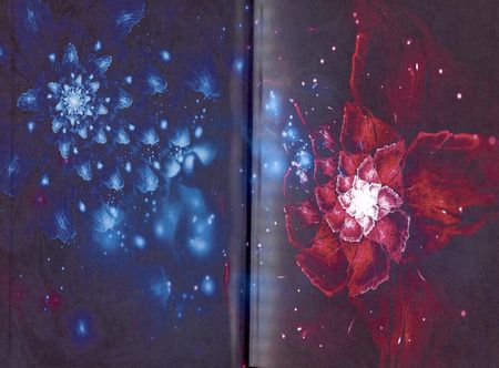 Фотография книги "Ирина Омельченко: Игра теней. Претендентка. Книга вторая"