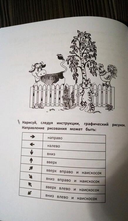 Фотография книги "Ирина Праведникова: Развитие орфографической зоркости"