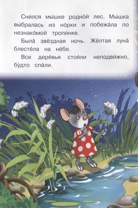 Фотография книги "Ирина Шестакова: Сказка про мышку"