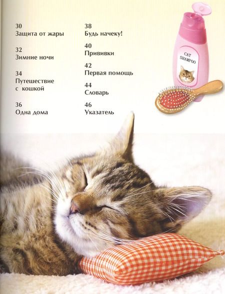 Фотография книги "Ирина Травина: Кошки и котята. Детская энциклопедия"