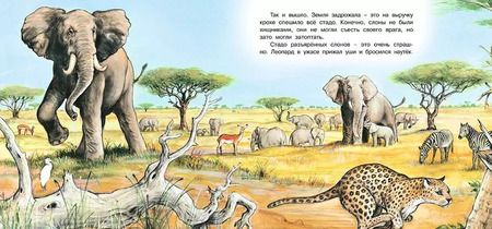 Фотография книги "Ирина Валерьевна: Приключения слонёнка"