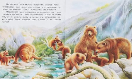 Фотография книги "Ирина Валерьевна: В лесу (мПозЧт) Гурина"