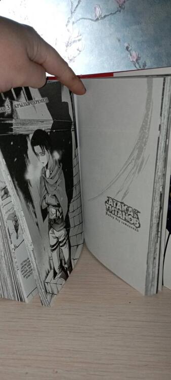 Фотография книги "Исаяма, Снарк: Атака на титанов. Выбор без сожалений"