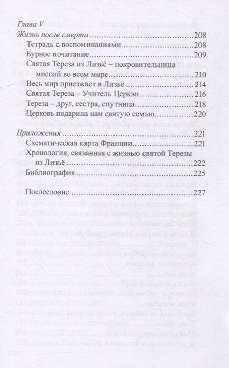 Фотография книги "История великой любви. Святая Тереза из Лизье (1873-1897)"