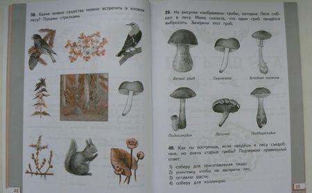 Фотография книги "Ивченкова, Потапов: Окружающий мир. 2 класс. Рабочая тетрадь №2 к учебнику Г.Г. Ивченковой, И.В. Потапова"