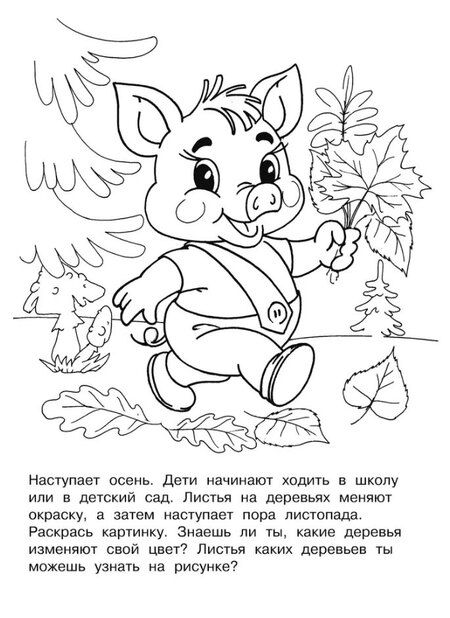 Фотография книги "Изучаем времена года. Раскраска серии "Скоро в школу""