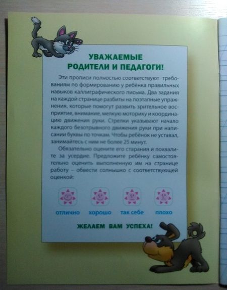 Фотография книги "Каллиграфическое написание строчных букв"