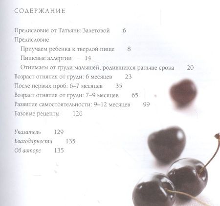 Фотография книги "Кармель, Мищенкова, Залетова: Быстро-пюре. Первый прикорм без забот"