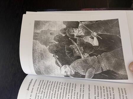 Фотография книги "Карпин: Волк. Последнее проклятье наг"