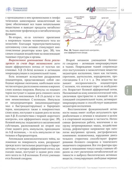 Фотография книги "Касаткин, Ачкасов, Шлыков: Энциклопедия тейпирования. Том 1. Нижняя конечность"