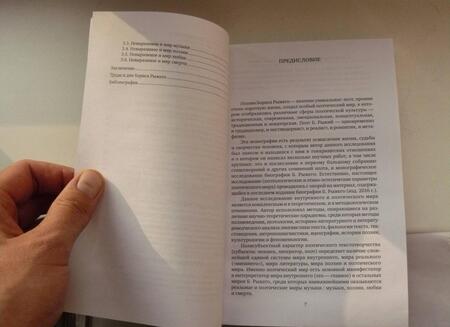 Фотография книги "Казарин: Внутренний мир и миры Бориса Рыжего"