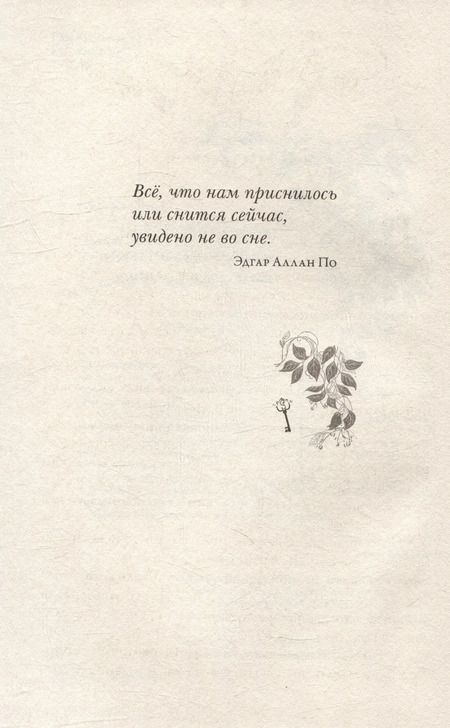 Фотография книги "Керстин Гир: Зильбер. Трилогия: Третий дневник сновидений"