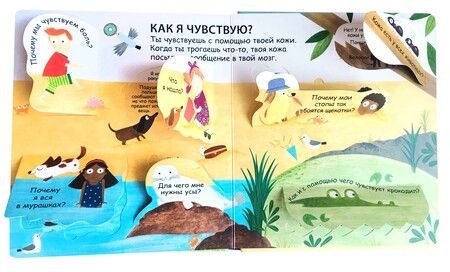 Фотография книги "Кэти Дэйнс: Как я вижу, слышу и чувствую"