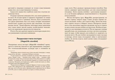 Фотография книги "Хайнбух: Пчелы. Что человек и пчела значат друг для друга"