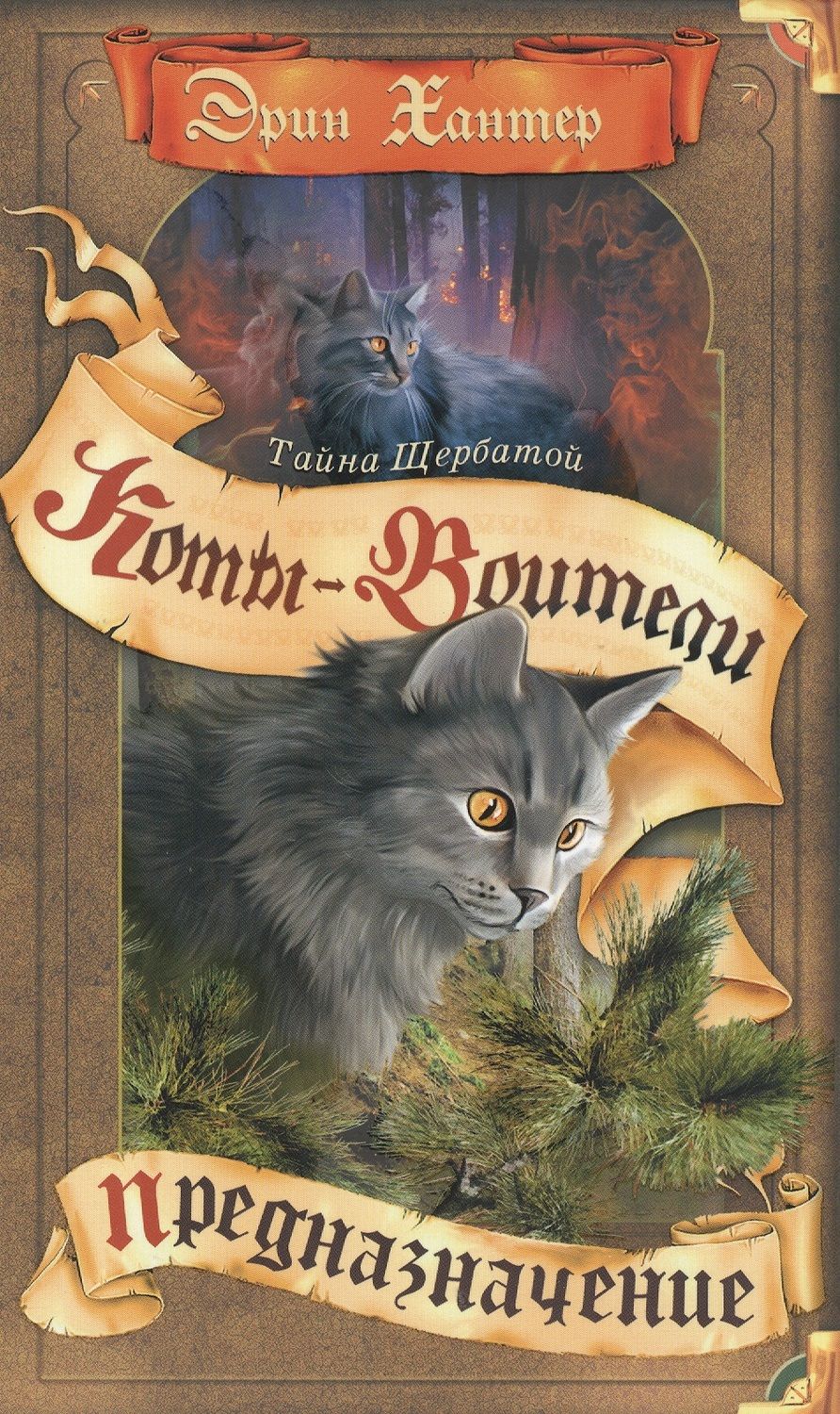 Обложка книги "Хантер: Тайна Щербатой. Предназначение"