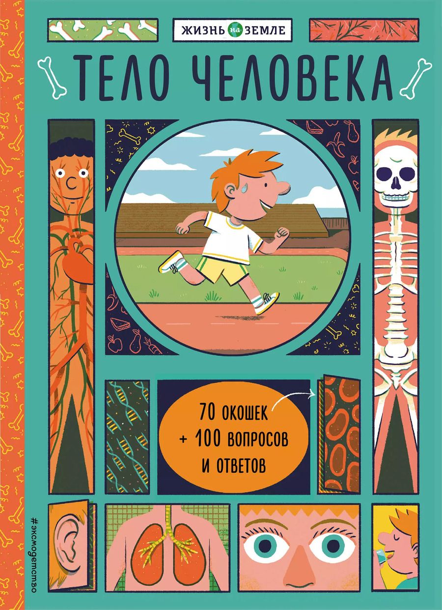 Обложка книги "Хизер Александер: Тело человека (с окошками)"