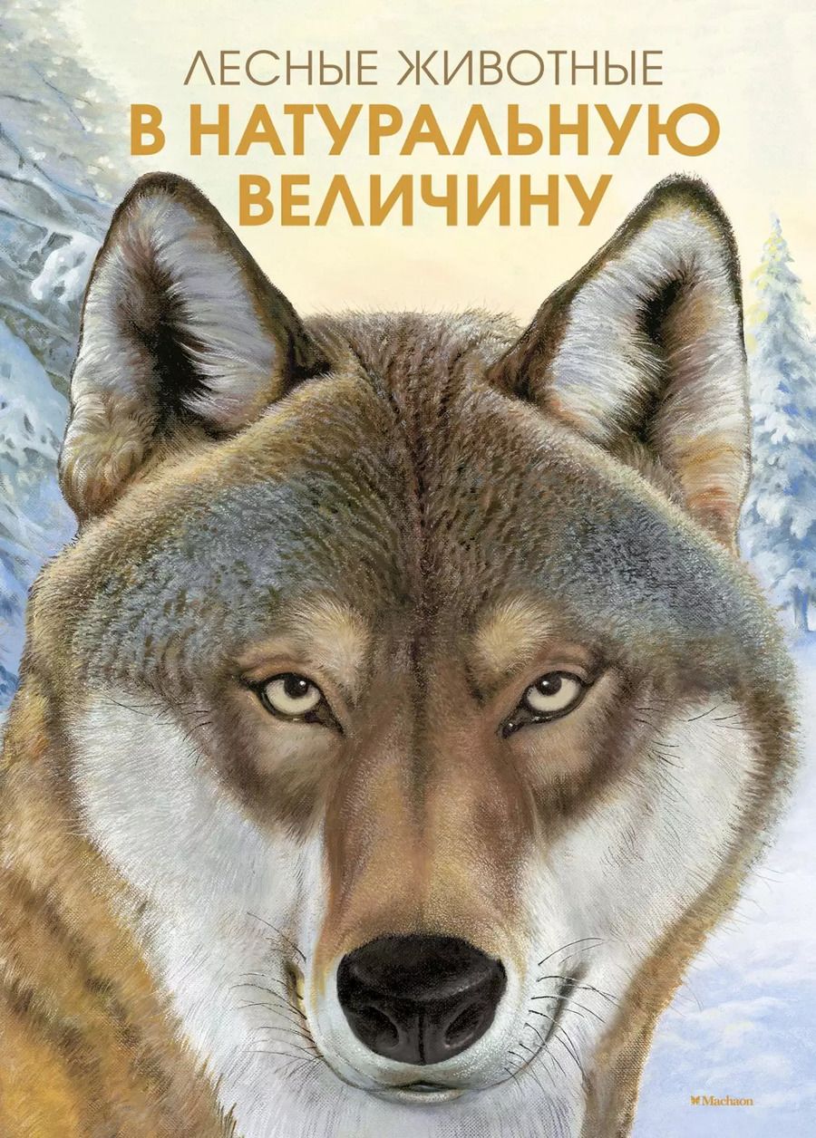 Обложка книги "Хольгер Хааг: Лесные животные в натуральную величину"