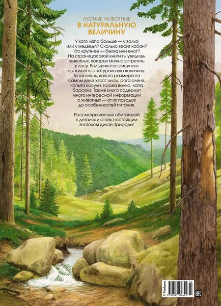 Фотография книги "Хольгер Хааг: Лесные животные в натуральную величину"