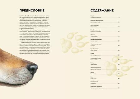 Фотография книги "Хольгер Хааг: Лесные животные в натуральную величину"