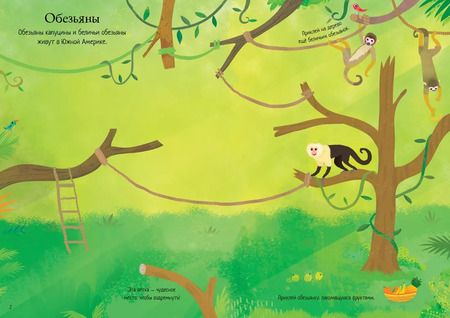 Фотография книги "Холли Бэти: Зоопарк"