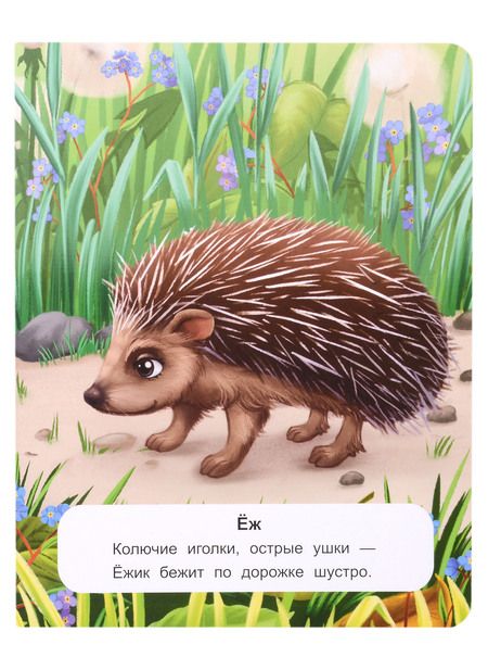 Фотография книги "Хомякова: Лесные животные"