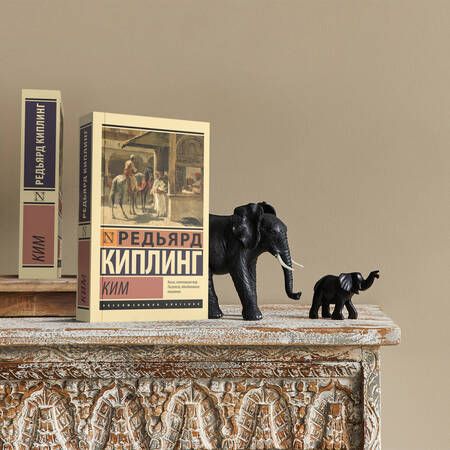 Фотография книги "Киплинг: Ким"