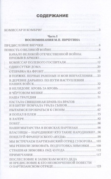 Фотография книги "Кирпич, Пичугин: Комиссар и комбриг. Армейско-партизанские мемуары"