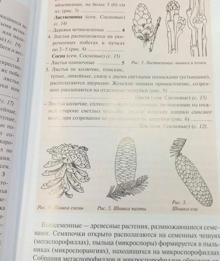 Фотография книги "Киселева, Майоров, Новиков: Определитель деревьев и кустарников средней полосы России"