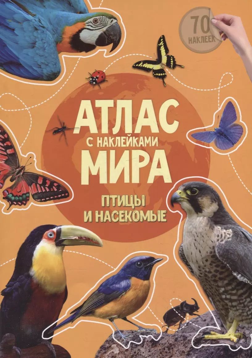 Обложка книги "Книга-картинка «Атлас мира. Птицы и насекомые» (+70 наклеек)"