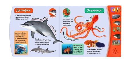 Фотография книги "Книга «Кто живет в море и на его берегах»"