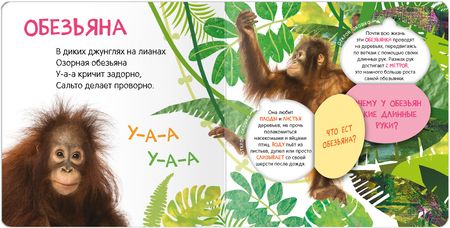 Фотография книги "Книжки с окошками. Кто где живет?"
