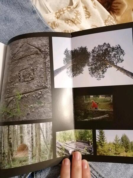 Фотография книги "Кочан: Хорея"