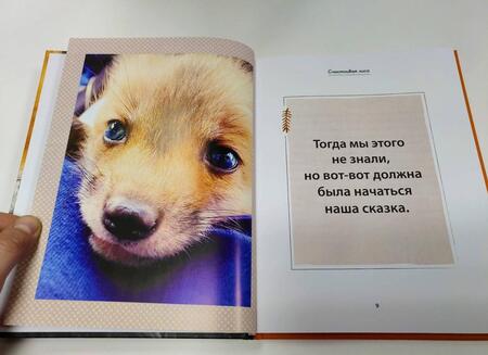 Фотография книги "Кокер: Счастливая лиса Джунипер"