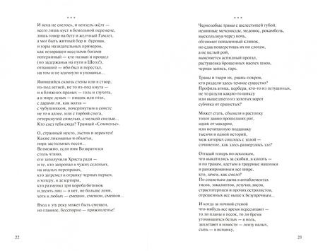 Фотография книги "Кокошко: Начертания города Мимо"