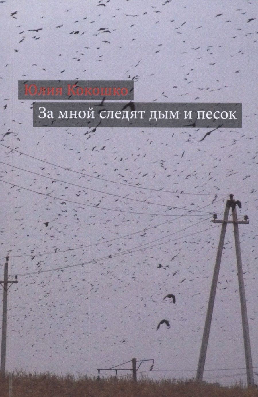 Обложка книги "Кокошко: За мной следят дым и песок"
