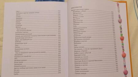 Фотография книги "Константин Ушинский: Всякой вещи свое место"