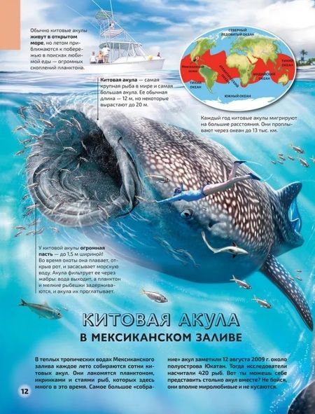 Фотография книги "Консуэло Делгадо: Моря и океаны. Иллюстрированный атлас"