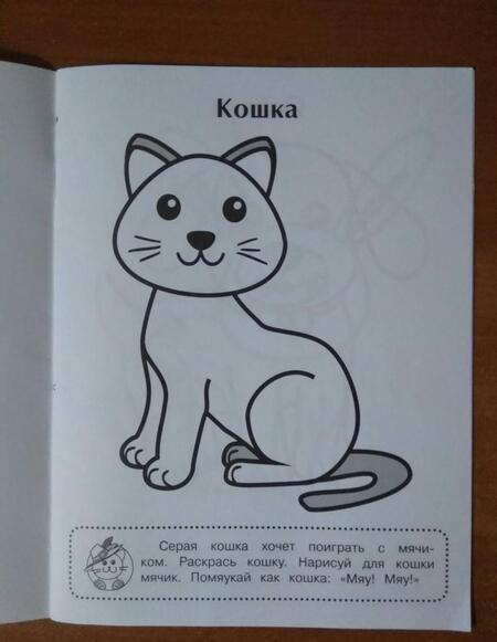 Фотография книги "Кошка"