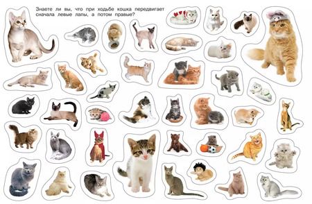 Фотография книги "Кошки"